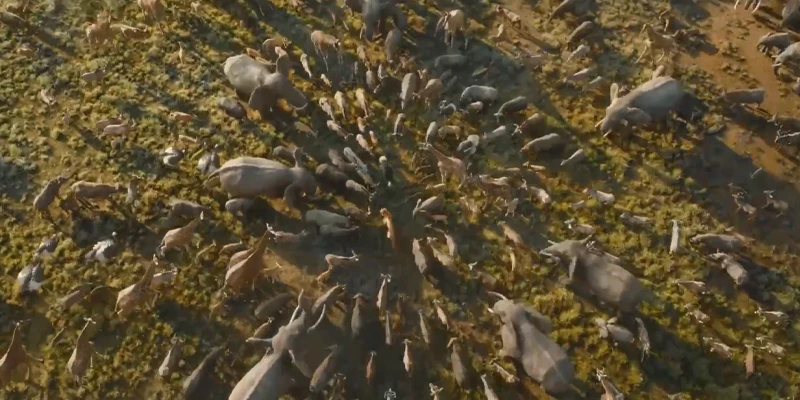 Dù chỉ là phim giải trí những cũng có các bài học sâu sắc trong đó